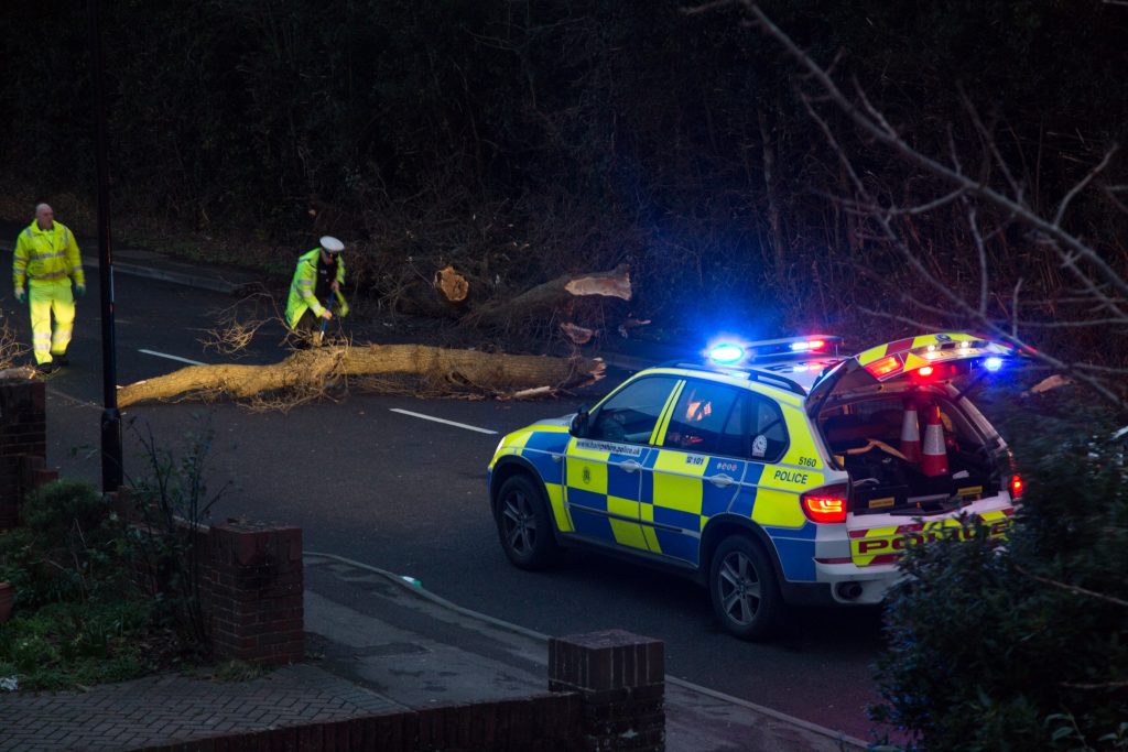 a police car responding to storm damage in the uk. a tree has fallen across the road