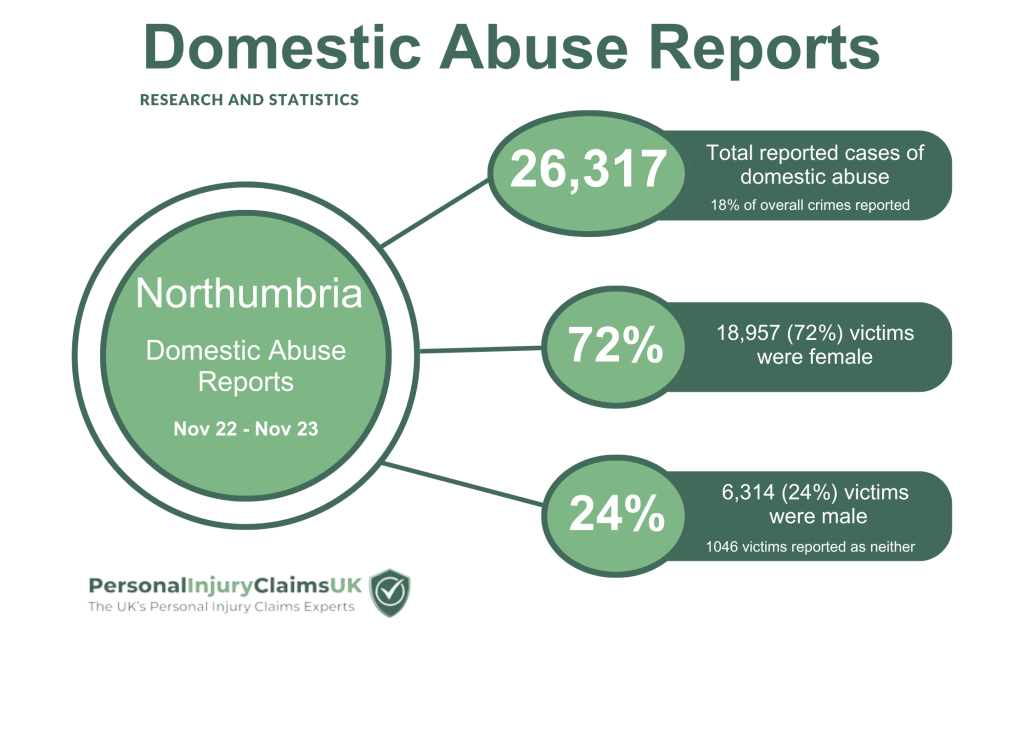 Northumbria Domestic Abuse Statistics 